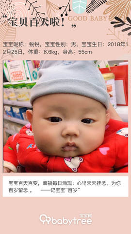 journal_insert_pic_1210273078