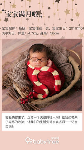 journal_insert_pic_1210268645