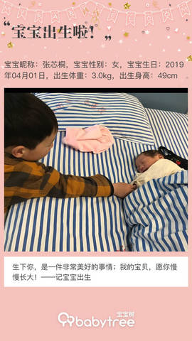 journal_insert_pic_1210053901