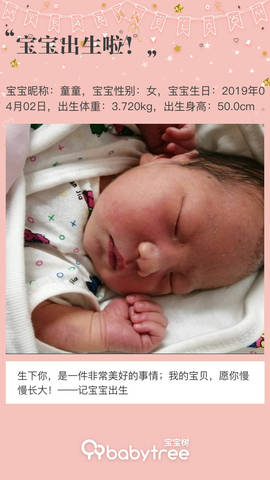 journal_insert_pic_1210454050