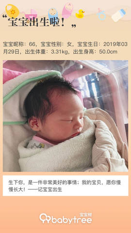 journal_insert_pic_1211334109