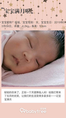 journal_insert_pic_1211206172
