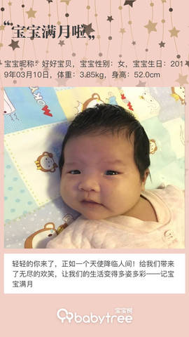 journal_insert_pic_1211319484