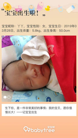 journal_insert_pic_1211073051