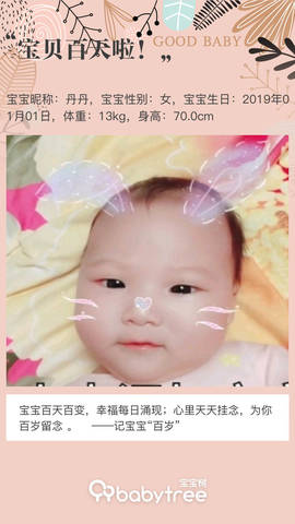 journal_insert_pic_1211262841