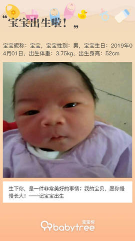 journal_insert_pic_1211225574