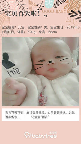 journal_insert_pic_1211742339