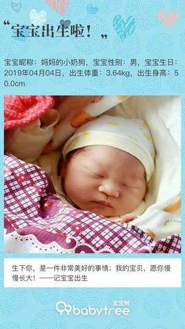 journal_insert_pic_1211657153
