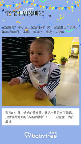 journal_insert_pic_1212655437