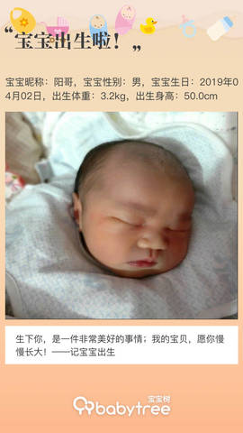 journal_insert_pic_1212379407