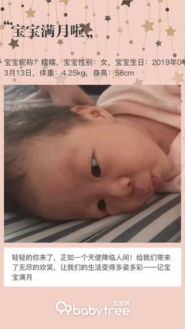 journal_insert_pic_1213222154