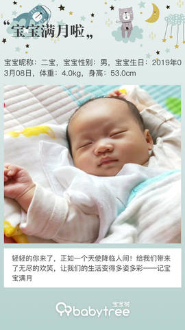 journal_insert_pic_1213134570