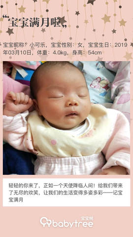 journal_insert_pic_1213357126