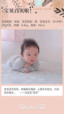 journal_insert_pic_1213491747