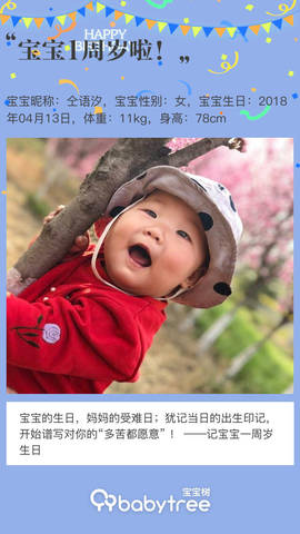 journal_insert_pic_1213855031