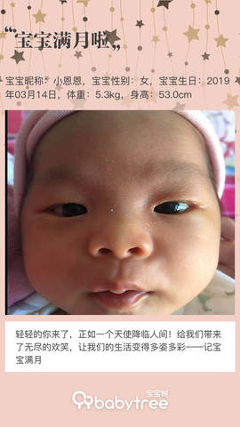 journal_insert_pic_1214041787