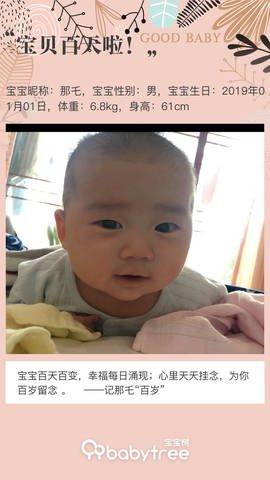 journal_insert_pic_1214561279