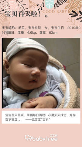 journal_insert_pic_1215304764