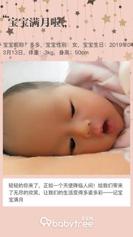 journal_insert_pic_1215269312