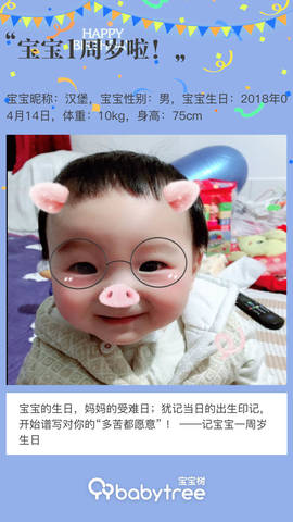 journal_insert_pic_1215176627