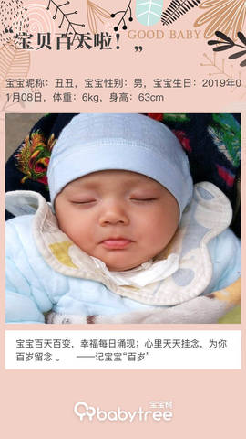 journal_insert_pic_1215702909
