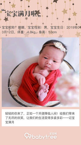 journal_insert_pic_1216135383