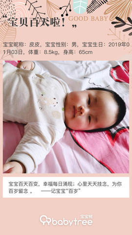 journal_insert_pic_1215665323