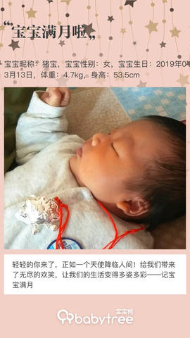 journal_insert_pic_1215778034
