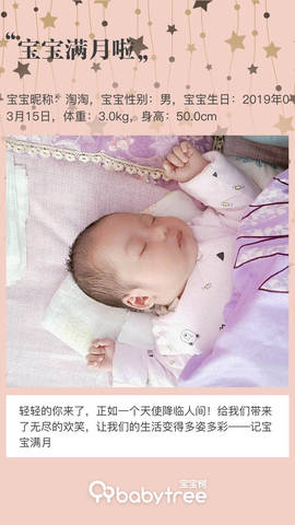 journal_insert_pic_1216176360