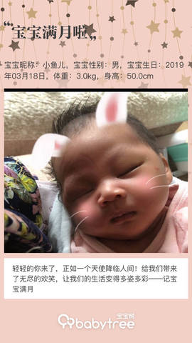 journal_insert_pic_1216242169