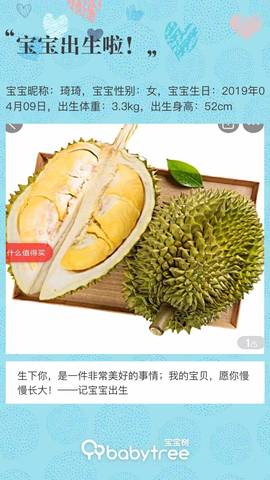 journal_insert_pic_1216189346