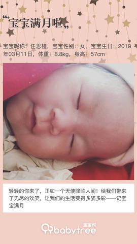 journal_insert_pic_1216600928