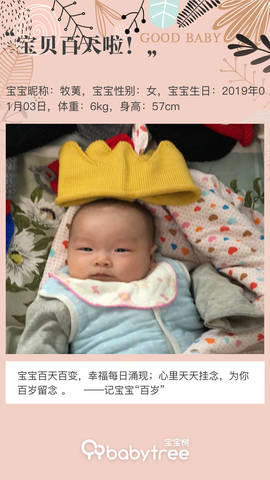 journal_insert_pic_1216189104