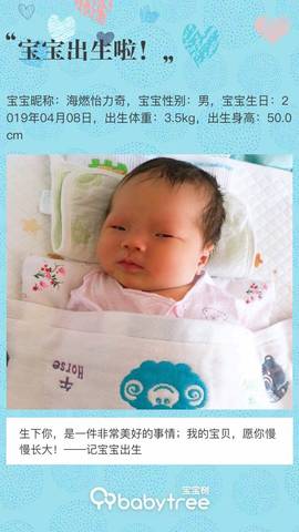 journal_insert_pic_1216329562
