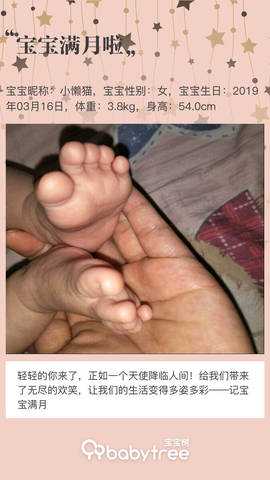 journal_insert_pic_1216912752