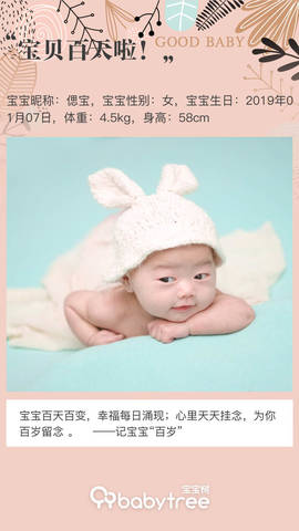journal_insert_pic_1218760873