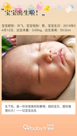 journal_insert_pic_1219390647
