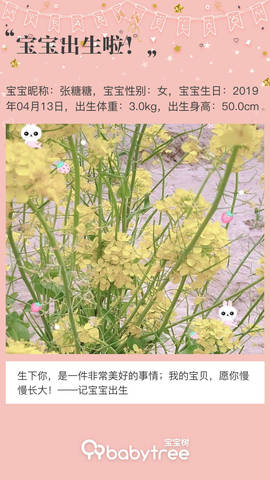 journal_insert_pic_1220076601