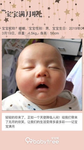 journal_insert_pic_1220392400