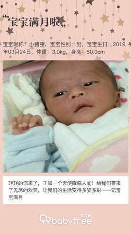 journal_insert_pic_1220321565
