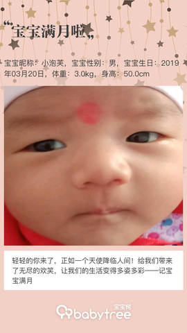 journal_insert_pic_1220920958