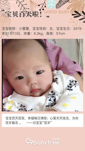 journal_insert_pic_1220793889