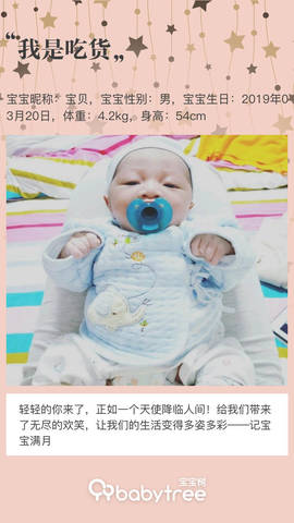 journal_insert_pic_1221773055