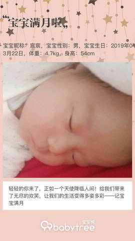 journal_insert_pic_1221540704