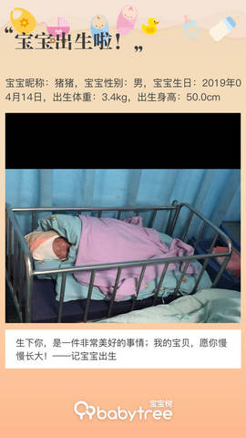journal_insert_pic_1222148435