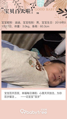 journal_insert_pic_1222486253