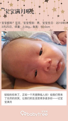 journal_insert_pic_1222430650