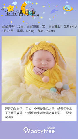 journal_insert_pic_1222564376