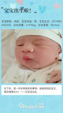 journal_insert_pic_1223057200