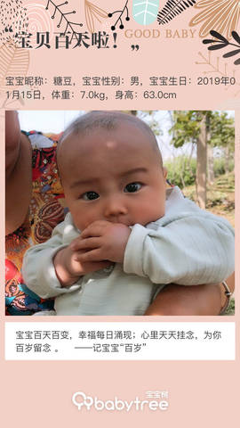 journal_insert_pic_1223346176